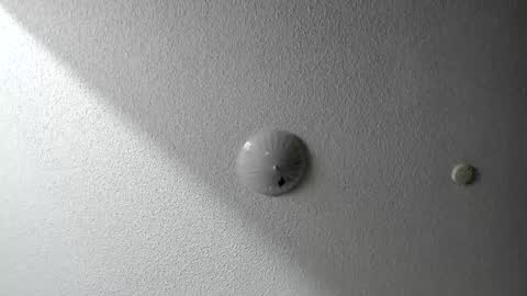 EV Parrish online show from January 20, 2025, 6:42 am