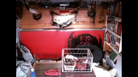 EvPierce online show from March 30, 2026, 4:24 am