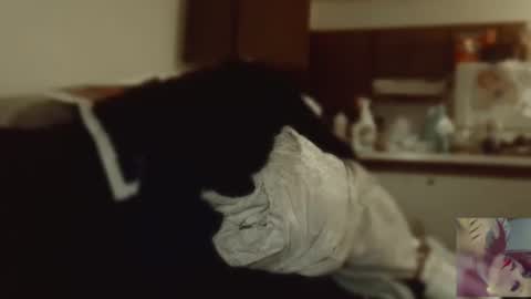 Exoticlexxii online show from September 9, 2025, 8:08 pm