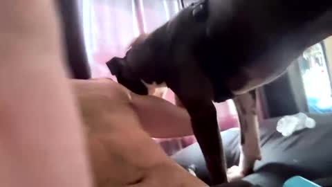 MichazaXO online show from October 10, 2025, 4:28 pm