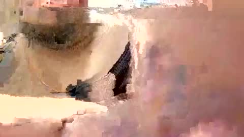 eyyoboobo0 online show from March 19, 2026, 6:12 pm