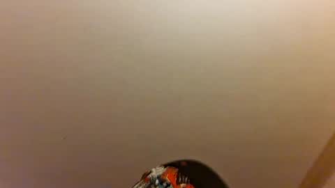Ez Rider online show from July 17, 2026, 7:48 am