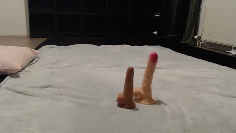 Lisa online show from November 10, 2025, 8:08 pm