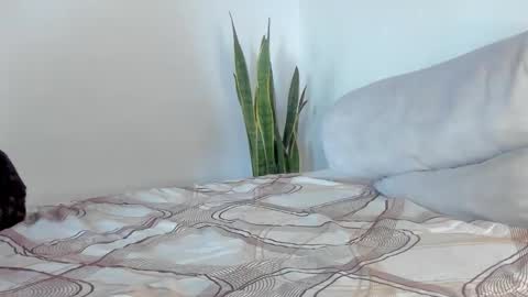 -  A N D E R online show from January 11, 2026, 2:00 pm