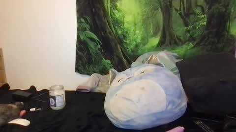 Snapshot of fairy_moan chatting on September 10, 2025, 7:47 pm fairy_moan online show from September 10, 2025, 7:47 pm