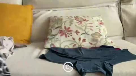 falupy online show from April 24, 2026, 3:36 pm