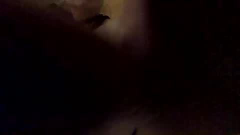 Snapshot of faranume66 chatting on October 30, 2025, 9:04 pm faranume66 online show from October 30, 2025, 9:04 pm