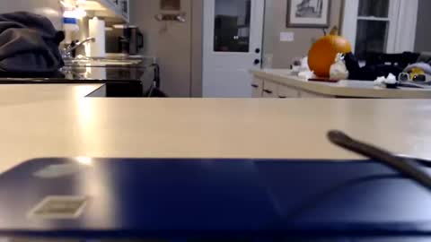 FarmGirl and Daddy online show from October 11, 2025, 2:22 am