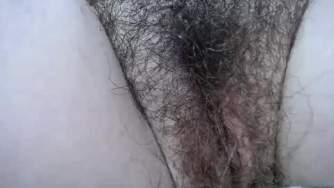 Snapshot of farrahfindom chatting on January 14, 2026, 3:56 am Farrah online show from January 14, 2026, 3:56 am