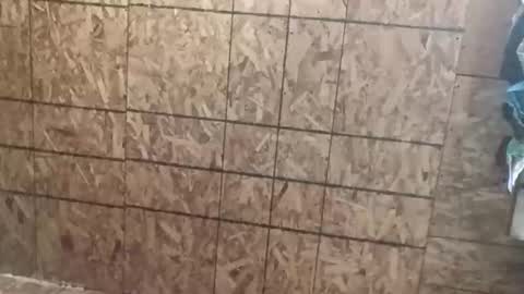 farrisshane1985 online show from April 7, 2026, 2:23 am