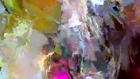 Gattino online show from September 13, 2025, 1:00 pm