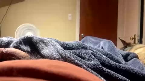 fatz71056 online show from December 23, 2025, 8:56 am