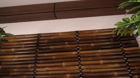 Fayeslate online show from November 20, 2025, 5:51 am