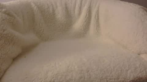 Snapshot of feels_too_good chatting on April 9, 2026, 2:11 am feels_too_good online show from April 9, 2026, 2:11 am