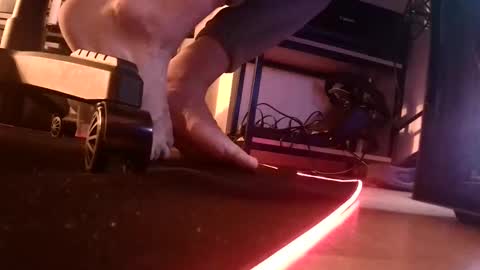 Snapshot of feetishman91 chatting on March 27, 2026, 6:18 pm feetishman91 online show from March 27, 2026, 6:18 pm