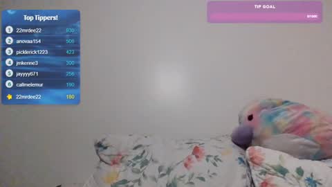 Snapshot of feetnymph chatting on February 9, 2025, 4:57 am Soley online show from February 9, 2025, 4:57 am