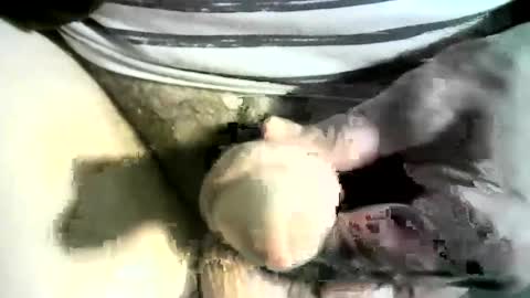 felicaste online show from March 8, 2025, 12:22 am