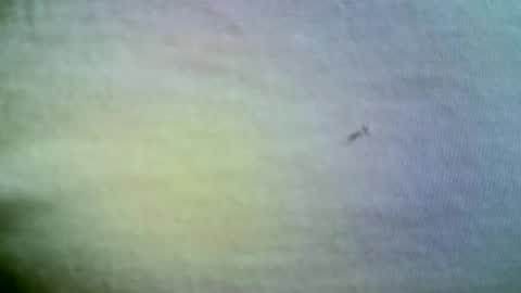 Snapshot of felicaste chatting on April 21, 2026, 11:38 am felicaste online show from April 21, 2026, 11:38 am