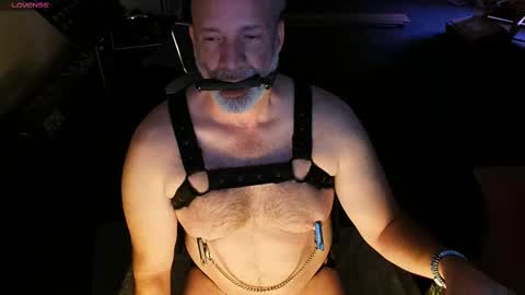 Piggy online show from March 1, 2025, 4:04 am