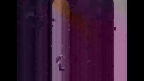 feog197475512 online show from November 3, 2025, 3:30 am