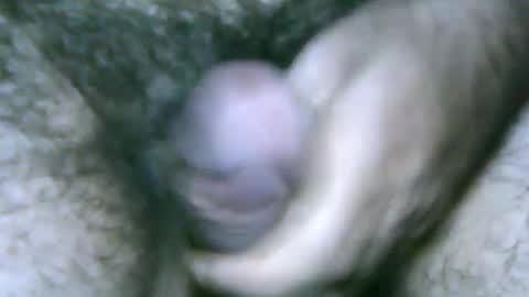 fer_2197 online show from January 27, 2025, 9:55 pm