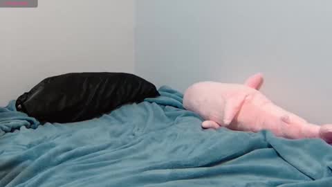 Snapshot of feralasf chatting on January 12, 2025, 6:39 am FE fee online show from January 12, 2025, 6:39 am