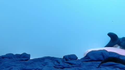 Snapshot of feralasf chatting on February 28, 2025, 2:09 am FE fee online show from February 28, 2025, 2:09 am