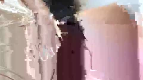 fifipan online show from October 25, 2025, 9:28 am