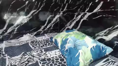 filipinabigcock online show from December 14, 2024, 6:56 am