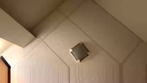 Fine Shit online show from November 27, 2025, 4:58 am