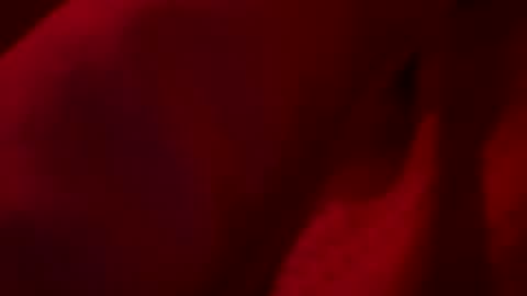 FirstTimeFeak online show from May 23, 2026, 7:46 am