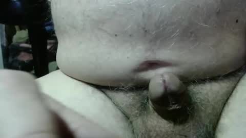 fish1475 online show from January 25, 2025, 6:12 am