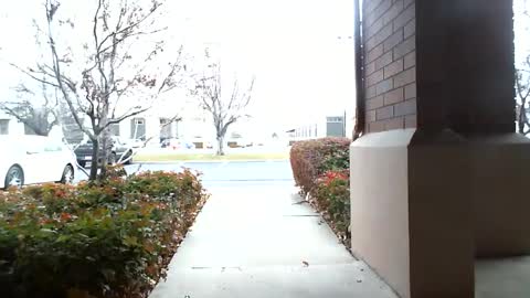 Snapshot of fit_hung_sub chatting on December 16, 2024, 5:33 pm pain slut daren online show from December 16, 2024, 5:33 pm