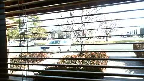 Snapshot of fit_hung_sub chatting on January 9, 2025, 7:08 pm pain slut daren online show from January 9, 2025, 7:08 pm