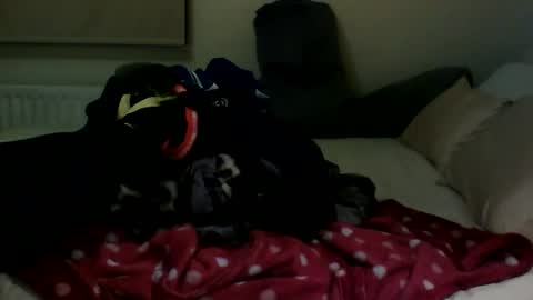 Fitbut online show from January 30, 2025, 7:48 pm