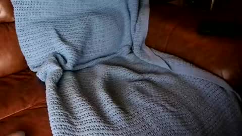 fitstevie1 online show from January 16, 2025, 11:27 pm