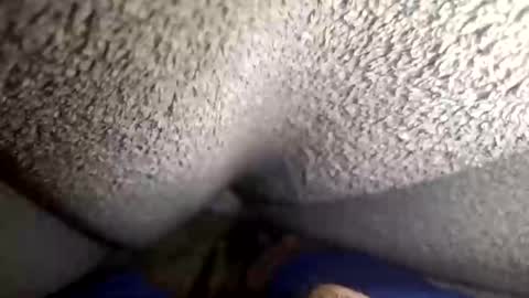 Snapshot of flaash_99 chatting on March 2, 2026, 11:28 am flaash_99 online show from March 2, 2026, 11:28 am