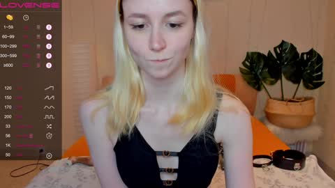 FlexiMona online show from December 8, 2024, 12:52 pm