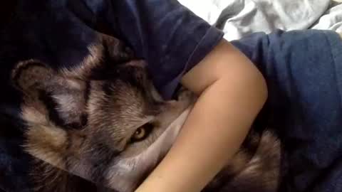 Snapshot of floraexploration chatting on December 22, 2024, 11:22 am floraexploration online show from December 22, 2024, 11:22 am