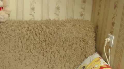 say meow and send tip  online show from January 17, 2025, 9:39 am