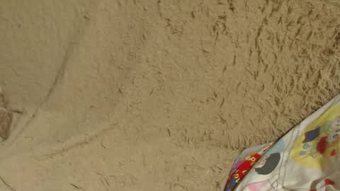 say meow and send tip  online show from January 26, 2025, 7:41 pm