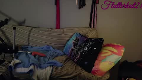 Snapshot of flutterkat21 chatting on March 12, 2026, 3:29 pm FlutterKat online show from March 12, 2026, 3:29 pm