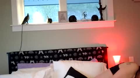 forbiddenwifey online show from April 8, 2026, 2:33 am