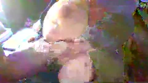 Terry Bangcock online show from January 18, 2025, 5:15 pm