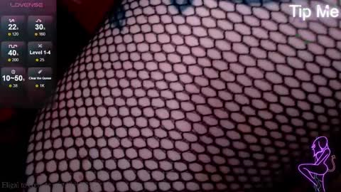 Snapshot of foxrinehelen chatting on January 12, 2025, 1:53 am Helen - My streams are Monday - Friday at 8 AM NY time online show from January 12, 2025, 1:53 am