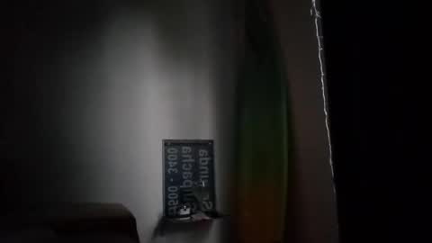 Snapshot of foxx2021 chatting on January 18, 2025, 9:24 am foxx2021 online show from January 18, 2025, 9:24 am