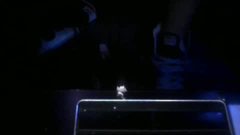 Snapshot of foxx2021 chatting on October 25, 2025, 12:29 am foxx2021 online show from October 25, 2025, 12:29 am