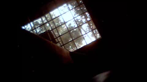 fra  71 online show from February 9, 2026, 6:17 am