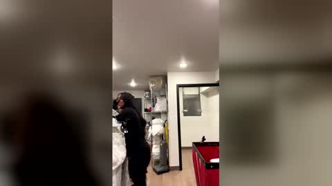 freakyylatinagoddess online show from January 15, 2026, 9:36 am