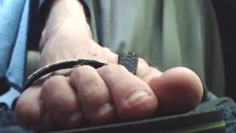 Greedy Fred online show from February 26, 2026, 3:44 pm